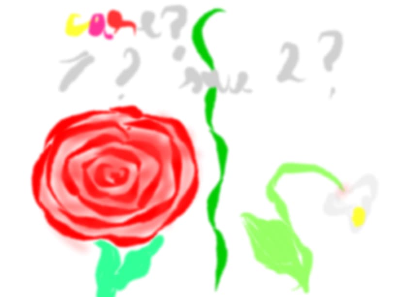1 sau 2