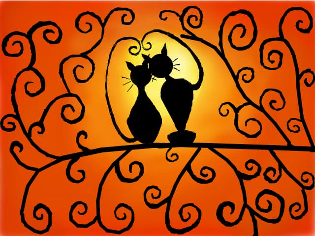 cat\'s love