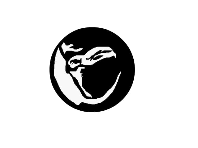 Ninja Face