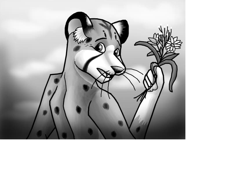 Un ghepard bland... alb-negru