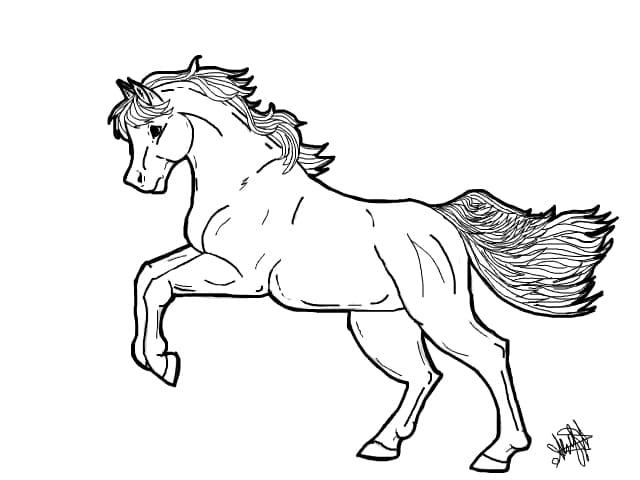 horse