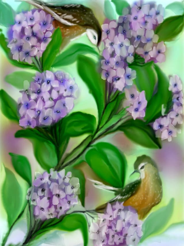 Desen #2035224