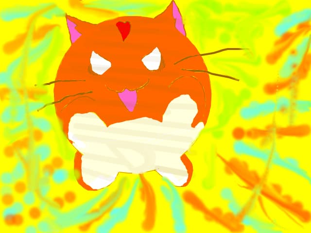 Animu kitty