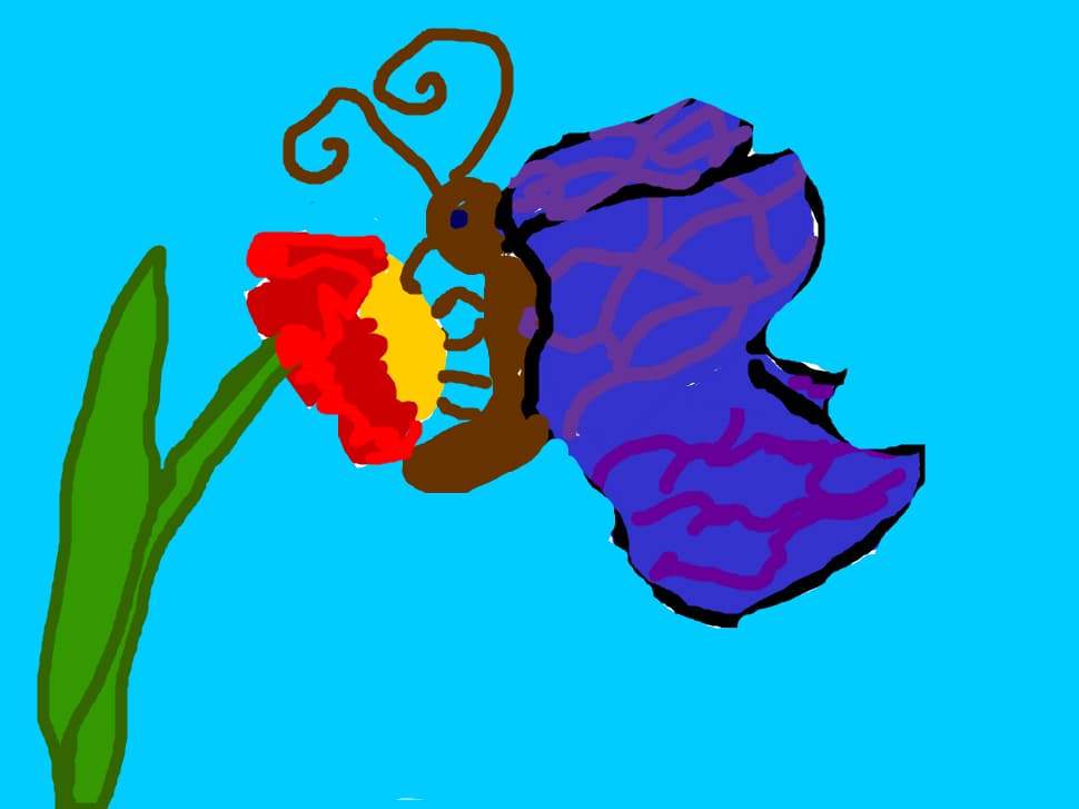 fluturasul