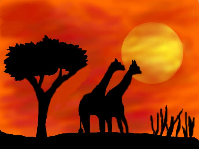 Savana