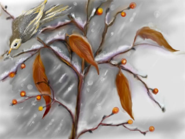 Cocosarul