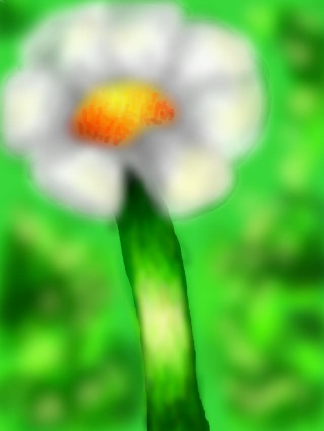 O floricica