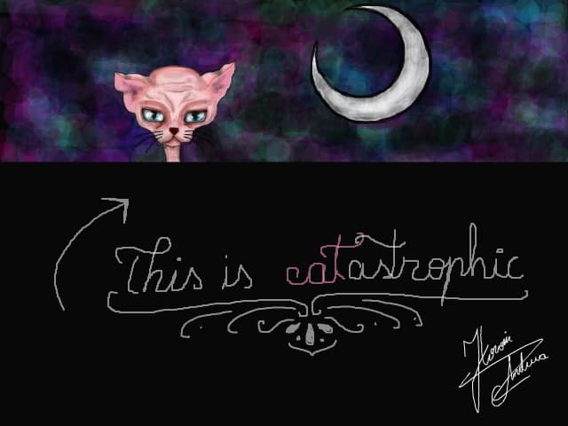 The catastophical cat