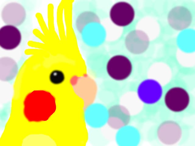 Cockatiel