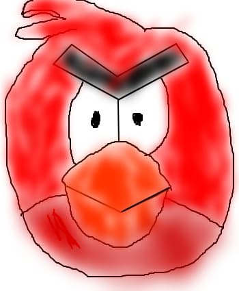 angry birns