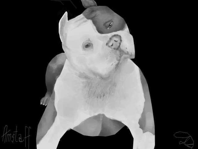 Amstaff