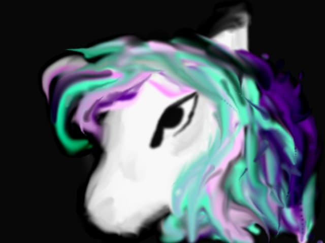 pony
