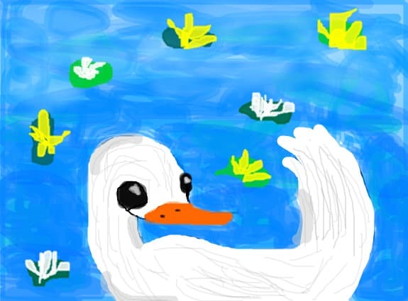 pretty duck