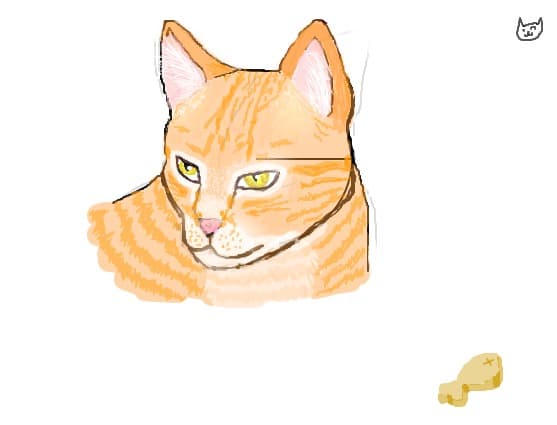 This is my cat. Its name is Ginger.