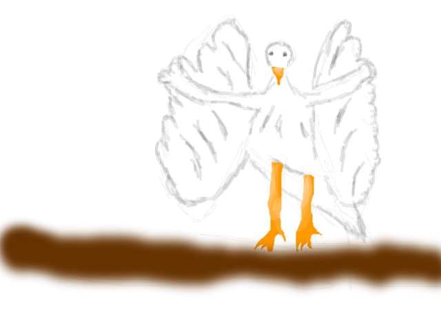porumbel