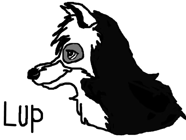 Lup