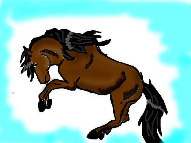 horse
