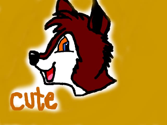 Cute puppy