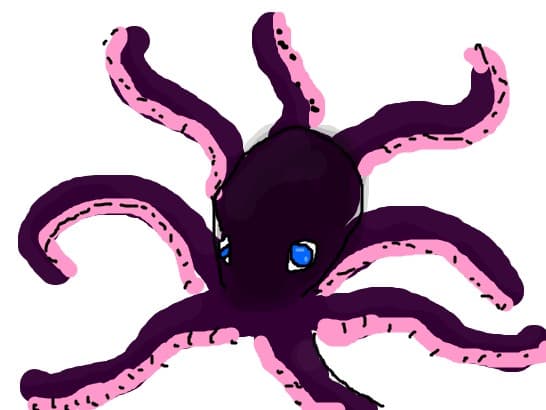 caracatita