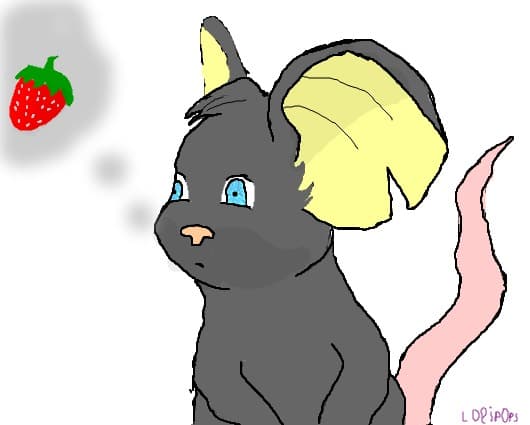 Transformice