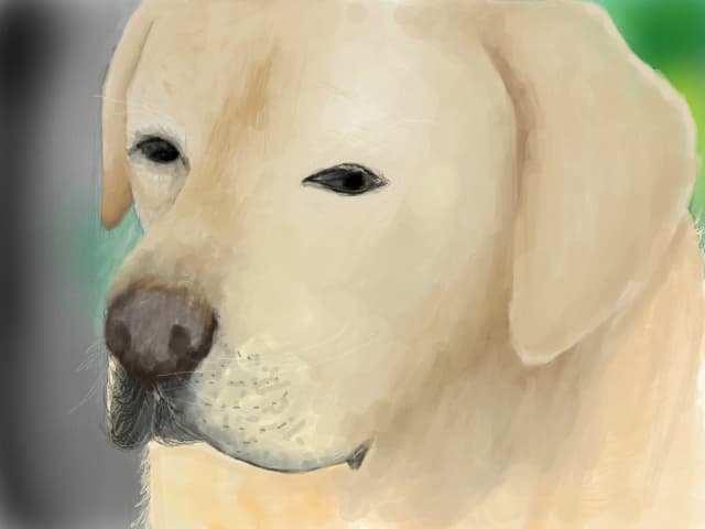 Marley