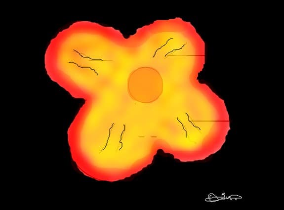 Floare Din Vis