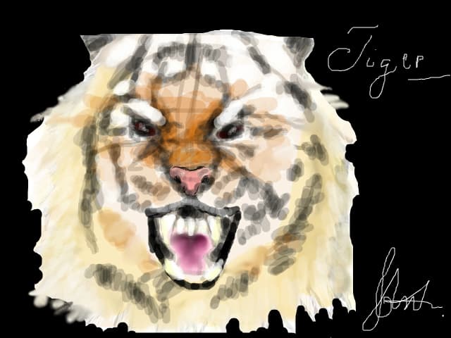 Tiger
