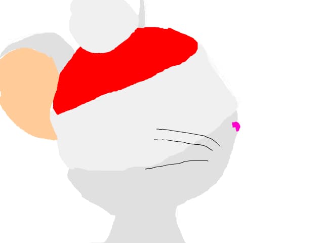 Transformice