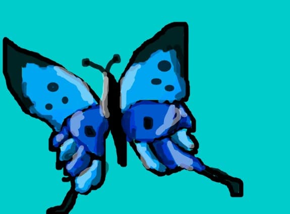 butterfly