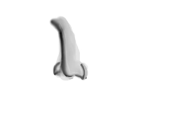 Nose