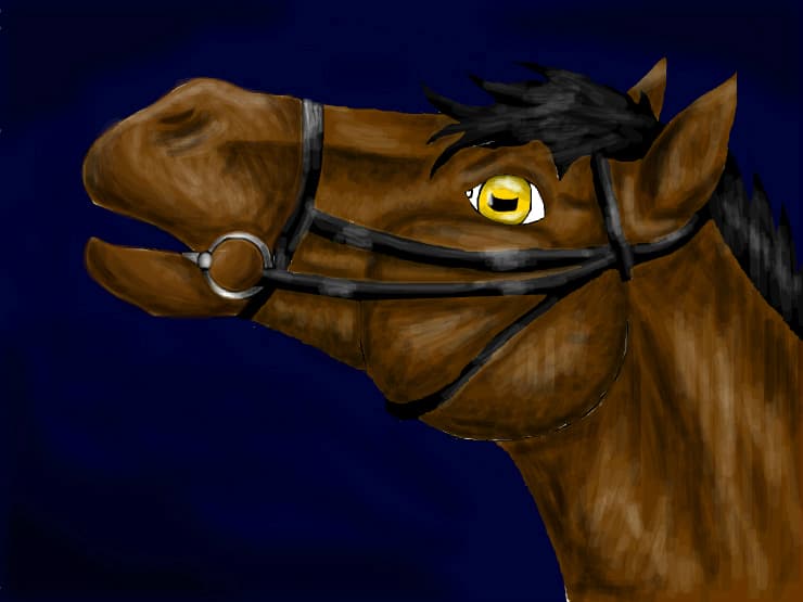 horse