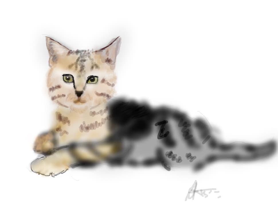 Kitty