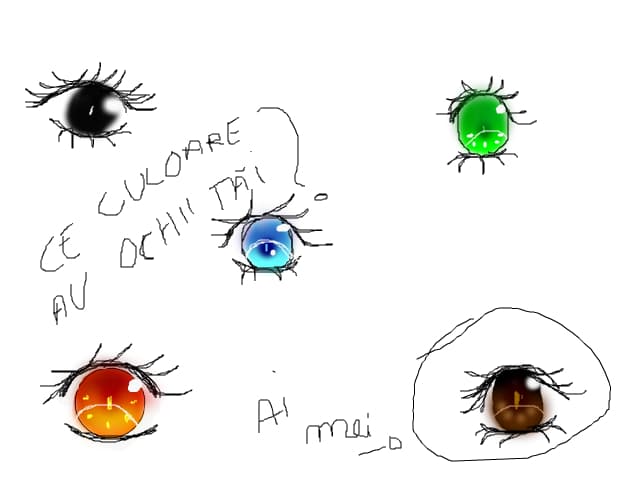 Animuratica