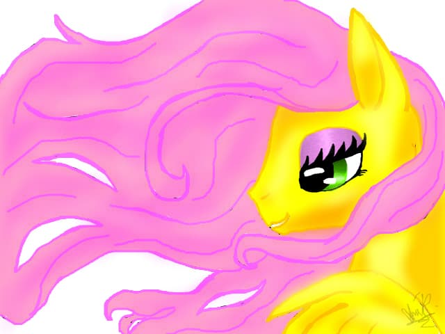 pony