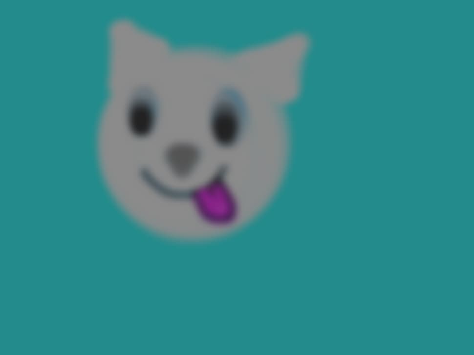 Kitty
