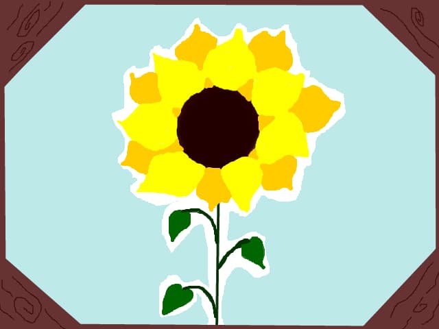 Colaj floarea-soarelui