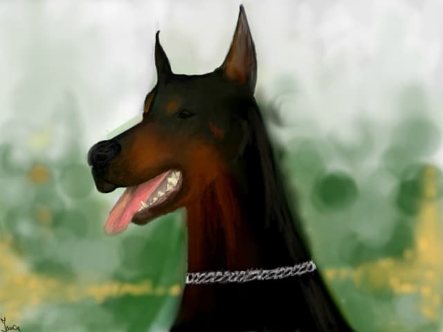 Doberman