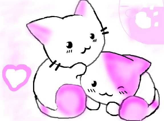 kitty