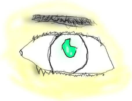 Ochiul