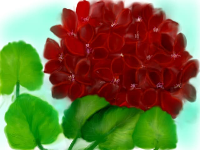 aaa