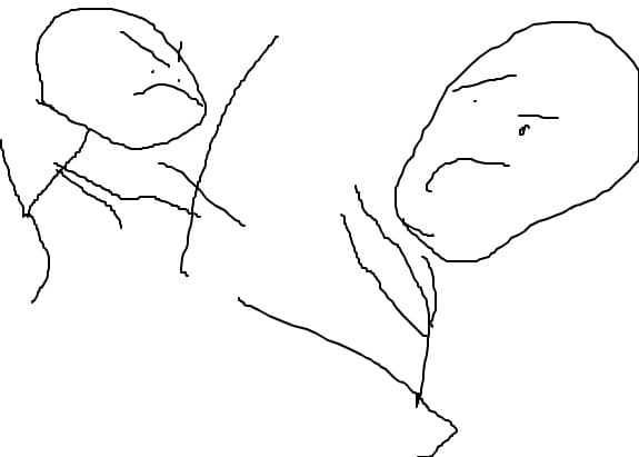 lupta csticmen
