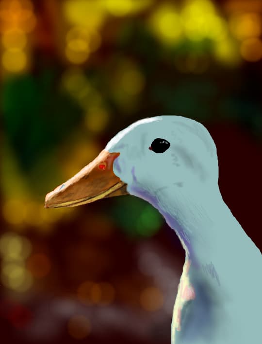 Un desen simplu - Christmas Duck