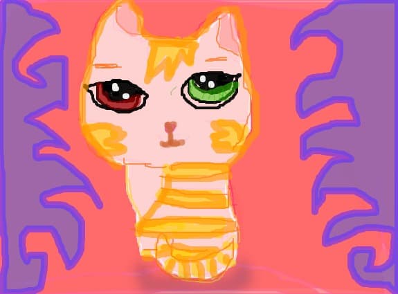 cutte cat