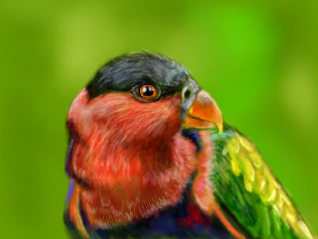 Parrot