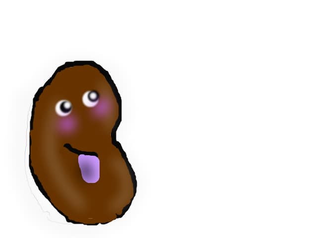 Potato
