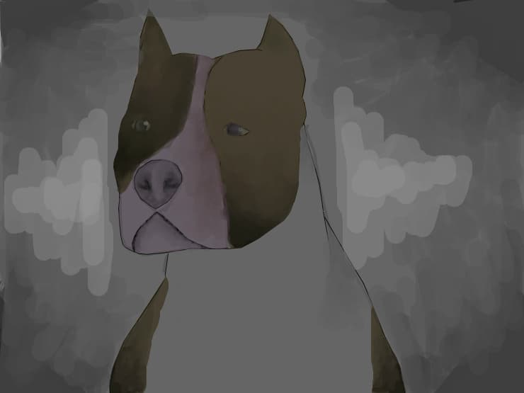 amstaff