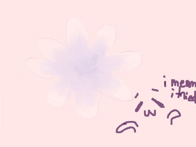 i did an aesthetic