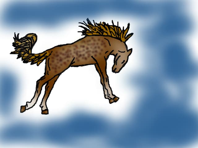 Wild horse