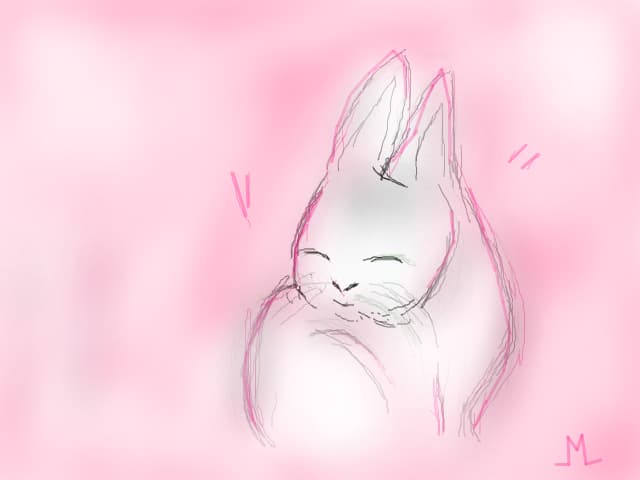 :3  bunny
