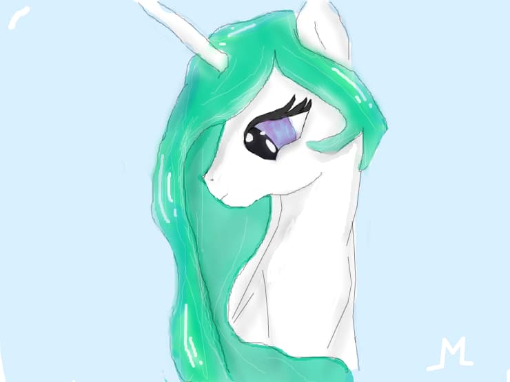 pony :)